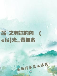 命軌之有你的向陽時(shí)光