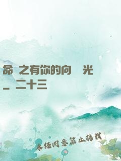 命軌之有你的向陽時光