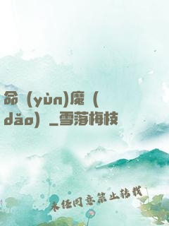 命運(yùn)魔導(dǎo)書