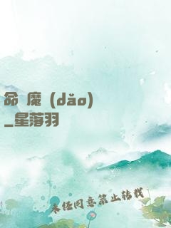 命運魔導(dǎo)書