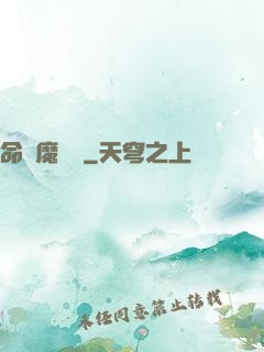 命運魔導書