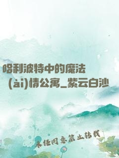 哈利波特中的魔法師與愛(ài)情公寓