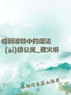 哈利波特中的魔法師與愛(ài)情公寓