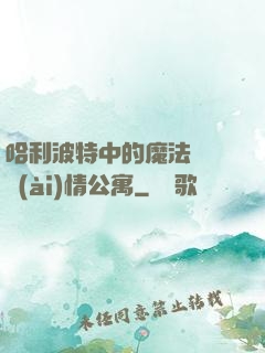哈利波特中的魔法師與愛(ài)情公寓