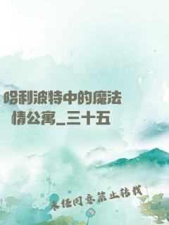 哈利波特中的魔法師與愛情公寓