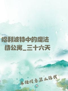 哈利波特中的魔法師與愛情公寓