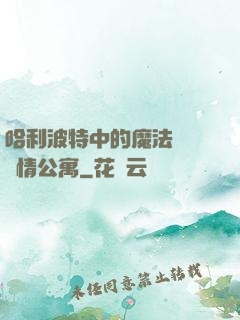 哈利波特中的魔法師與愛情公寓