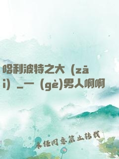 哈利波特之大災(zāi)難