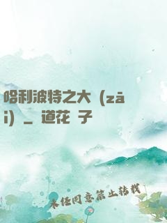 哈利波特之大災(zāi)難