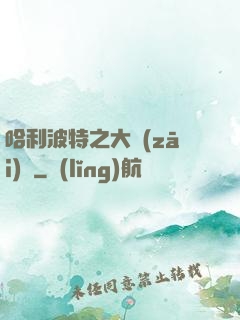 哈利波特之大災(zāi)難