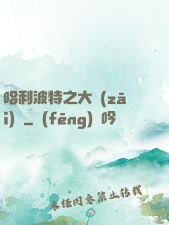 哈利波特之大災(zāi)難