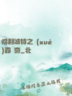 哈利波特之學(xué)霸傳奇
