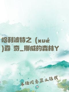 哈利波特之學(xué)霸傳奇
