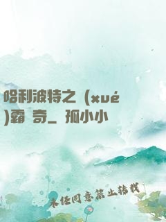 哈利波特之學(xué)霸傳奇
