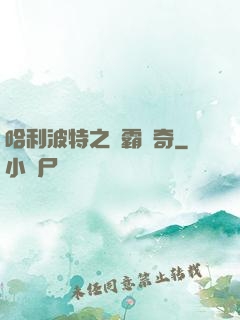 哈利波特之學霸傳奇