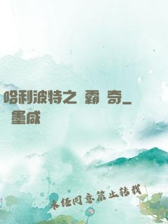哈利波特之學霸傳奇