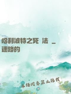 哈利波特之死靈法師