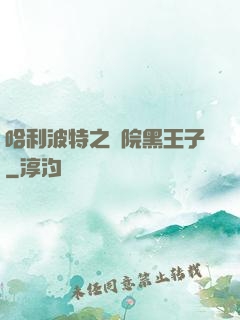 哈利波特之獅院黑王子
