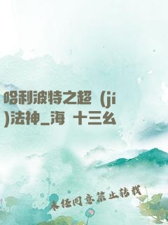 哈利波特之超級(jí)法神