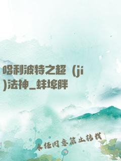 哈利波特之超級(jí)法神