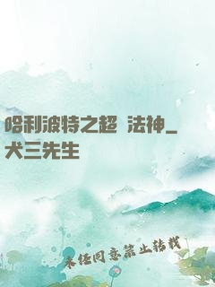 哈利波特之超級法神