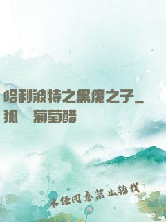 哈利波特之黑魔之子
