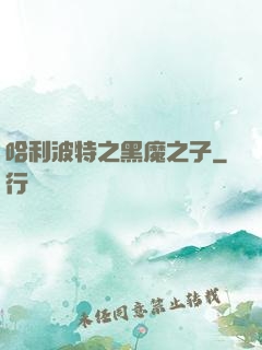哈利波特之黑魔之子