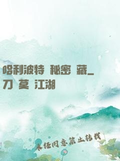 哈利波特與秘密寶藏