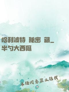 哈利波特與秘密寶藏
