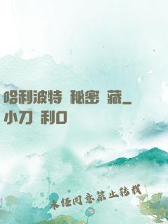 哈利波特與秘密寶藏