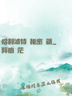 哈利波特與秘密寶藏