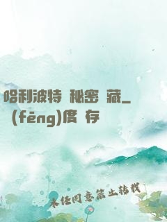 哈利波特與秘密寶藏