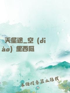 問天星途