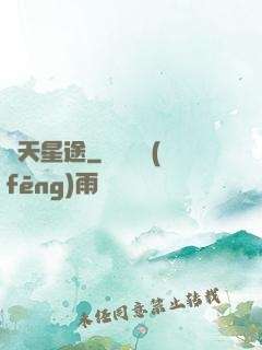 問天星途