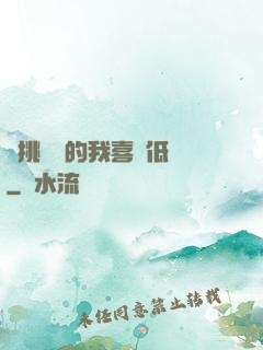 單挑艦隊的我喜歡低調