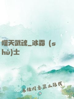 噬天武魂