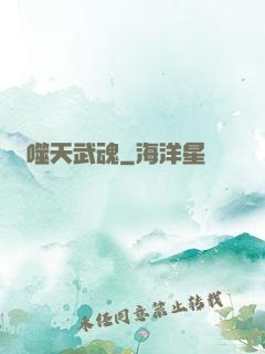 噬天武魂