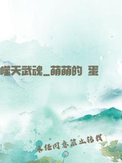 噬天武魂