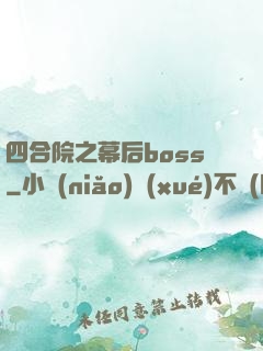 四合院之幕后boss