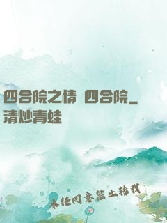 四合院之情滿四合院
