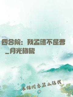 四合院：我孟德不是曹賊