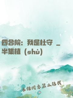 四合院：我是杜守義