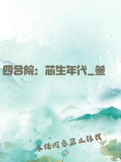四合院：芯生年代