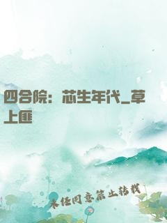 四合院：芯生年代