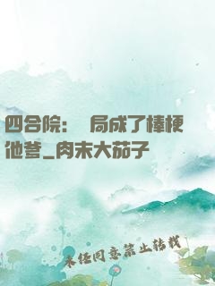 四合院：開局成了棒梗他爹