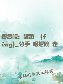 四合院：魏武遺風(fēng)