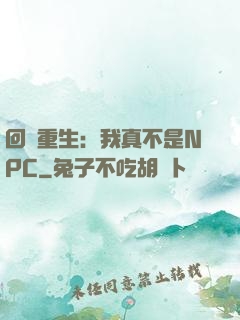 回檔重生：我真不是NPC
