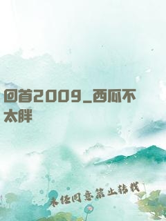 回首2009
