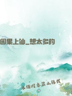 因果上仙