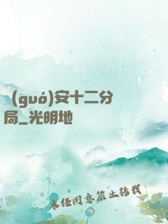國(guó)安十二分局